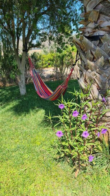 Villa Delle Stelle Con Piscina 莱韦拉诺 外观 照片